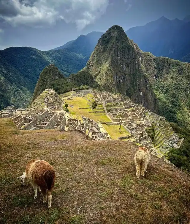 Machu Picchu